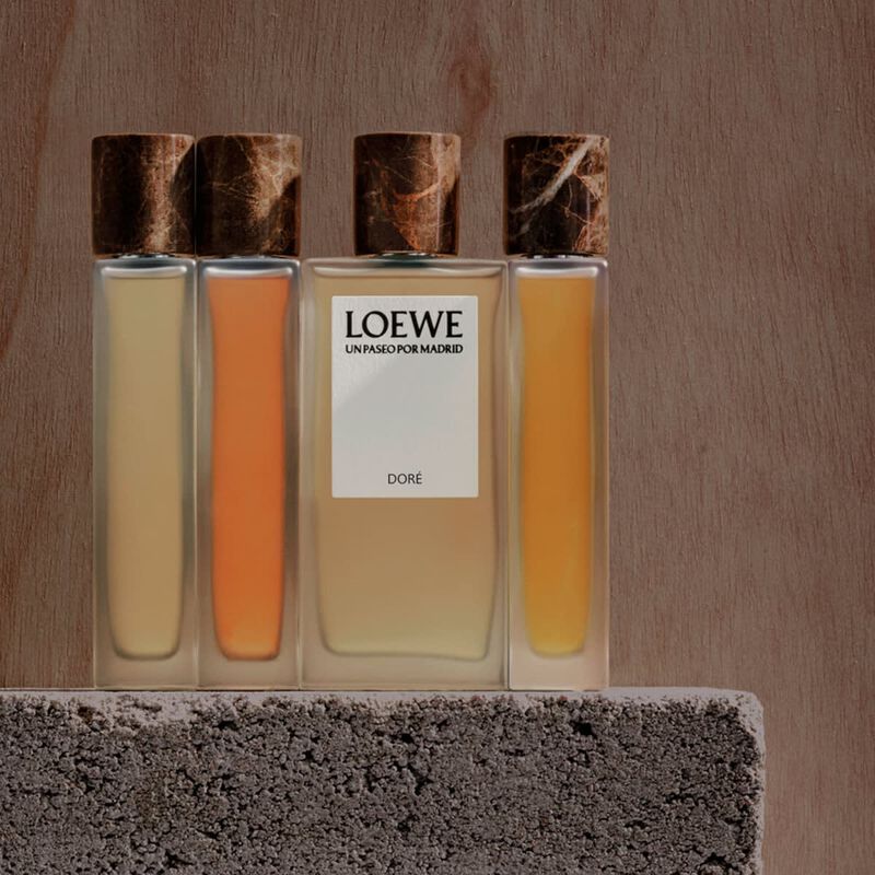 loewe un paseo por madrid dore