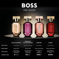 faces the scent elixir intense