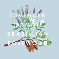 Reed Diffuser Real Luxury faces reed diffuser real luxury