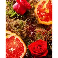 faces a midsummer dream