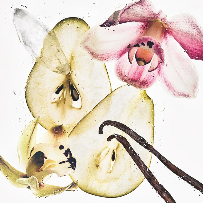 calvin klein nude vanilla