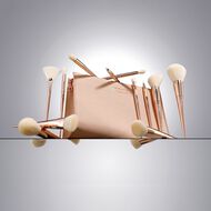 faces مجموعة الفرش النهائية