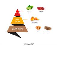 عطر ايرلي ميست faces عطر ايرلي ميست