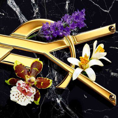 faces libre intense eau de parfum