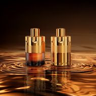 Forever Wanted Absolu faces forever wanted absolu