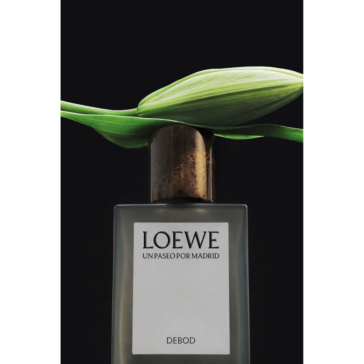 Loewe Un Paseo Por Madrid Debod Eau de Parfum