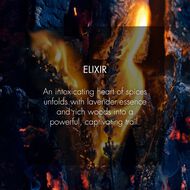 Sauvage Elixir faces sauvage elixir