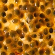 faces عطر لوندري داي