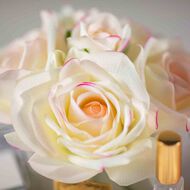 معطر جو 5 روز وردي بلش في صندوق وردي مع شارة ذهبية faces معطر جو 5 روز وردي بلش في صندوق وردي مع شارة ذهبية