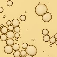 faces no frizz vanishing oil