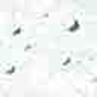 faces تونتق هايدرتانت