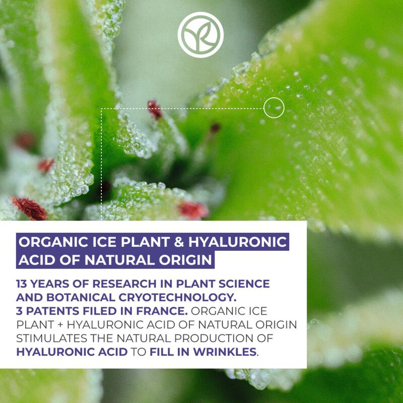 yves rocher filler vegetal supercharged plumping serum 30ml