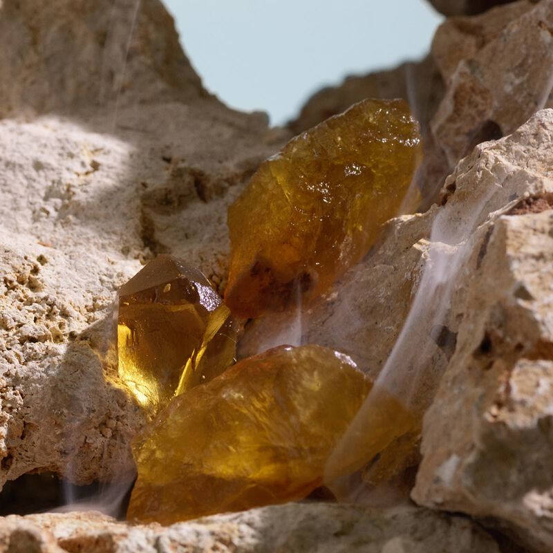 dolce & gabbana k elixir