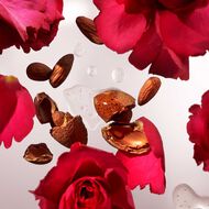 faces the ritual of ayurveda medium