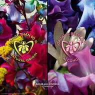 faces absolus allegoria florabloom