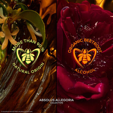 faces absolus allegoria santal royal