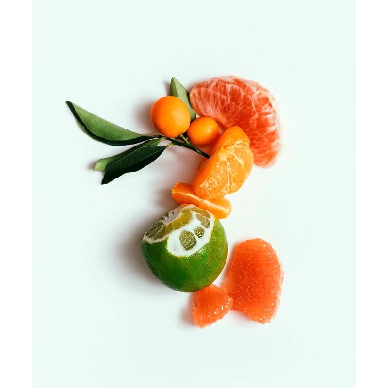 corpus naturals n green plant based natural body wash