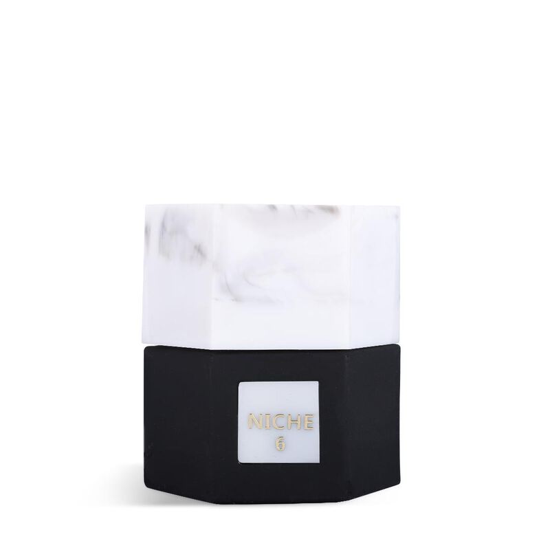 reef perfumes niche 6