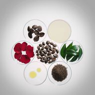 Ultimune Power Infusing Concentrate 4.0 faces ultimune power infusing concentrate 4 0