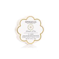 Daisy Collection Freesia Pear Body Wash Infused Spongette (7+ Uses) faces daisy collection freesia pear body wash infused spongette 7 uses