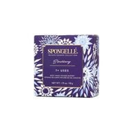 Private Reserve Blackberry Flower Body Wash Infused Spongette (7+uses) faces private reserve blackberry flower body wash infused spongette 7 uses