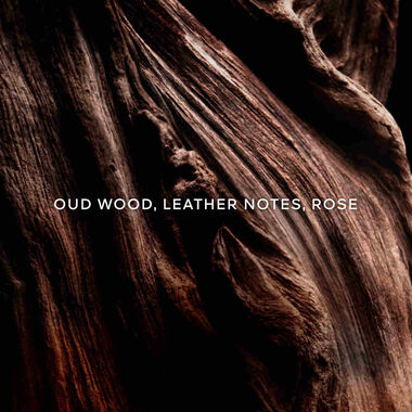 faces absolus allegoria oud essentiel