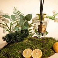 Reed Diffuser Persian Lime & Tangerine with Gold Badge 150ml faces reed diffuser persian lime tangerine with gold badge 150ml