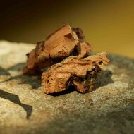 faces غوتشي  ميموار دون أودور أو  دو برفان