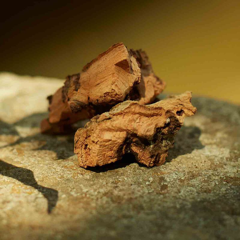 غوتشي غوتشي  ميموار دون أودور أو  دو برفان