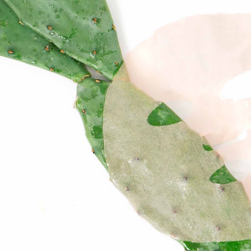 starskin orglamic pink cactus face mask