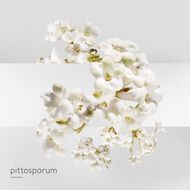 faces jardin sur la lagune edt 50ml