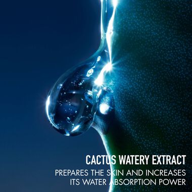 faces sauvage toner lotion