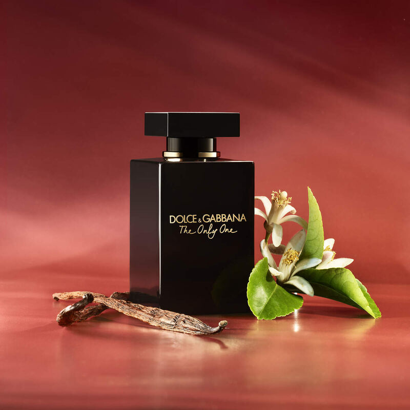 dolce & gabbana the only one intense