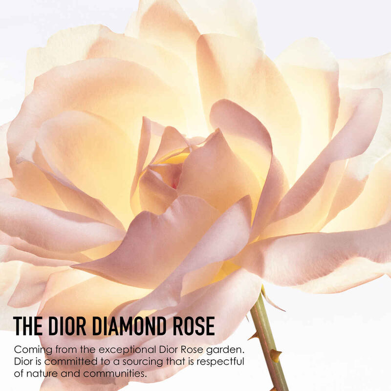 dior dior prestige le protecteur uv