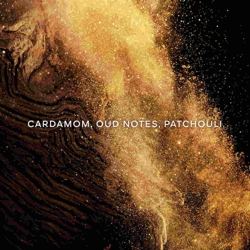 guerlain absolus allegoria epices exquises