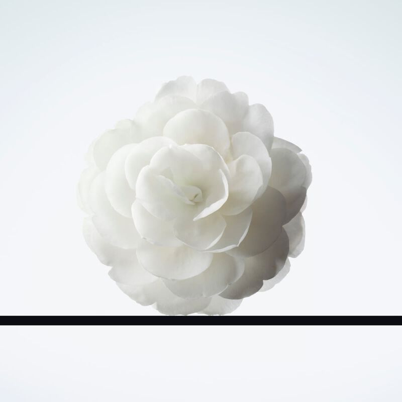 chanel demaquillant lacte intense