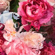 faces عطر روزا روسا أو دو تواليت 125مل