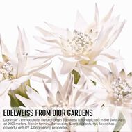 Diorsnow - Ultimate UV Shield faces diorsnow ultimate uv shield