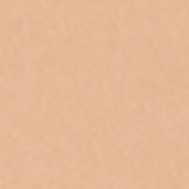 clarins everlasting longwearing foundation