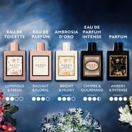 Bloom Ambrosia d'Oro faces bloom ambrosia d oro