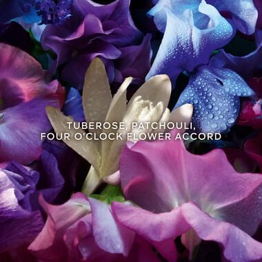Absolus Allegoria Florabloom faces absolus allegoria florabloom