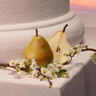 My Devotion Intense faces my devotion intense