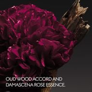 faces عطر أريزون تو لوڤ أو دو بارفان