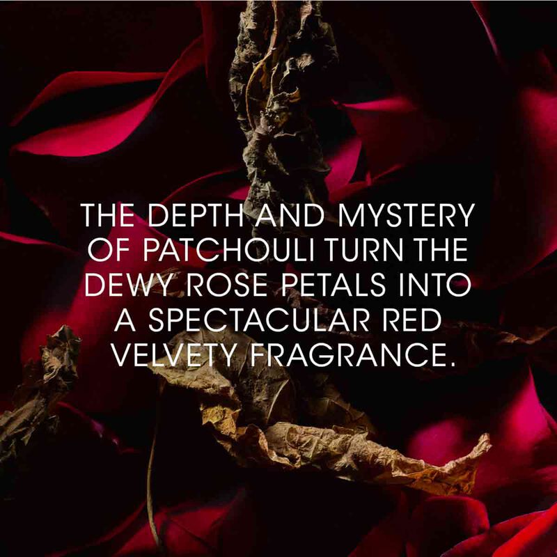 إيف سان لوران عطر روج فيلور لو فيستيير