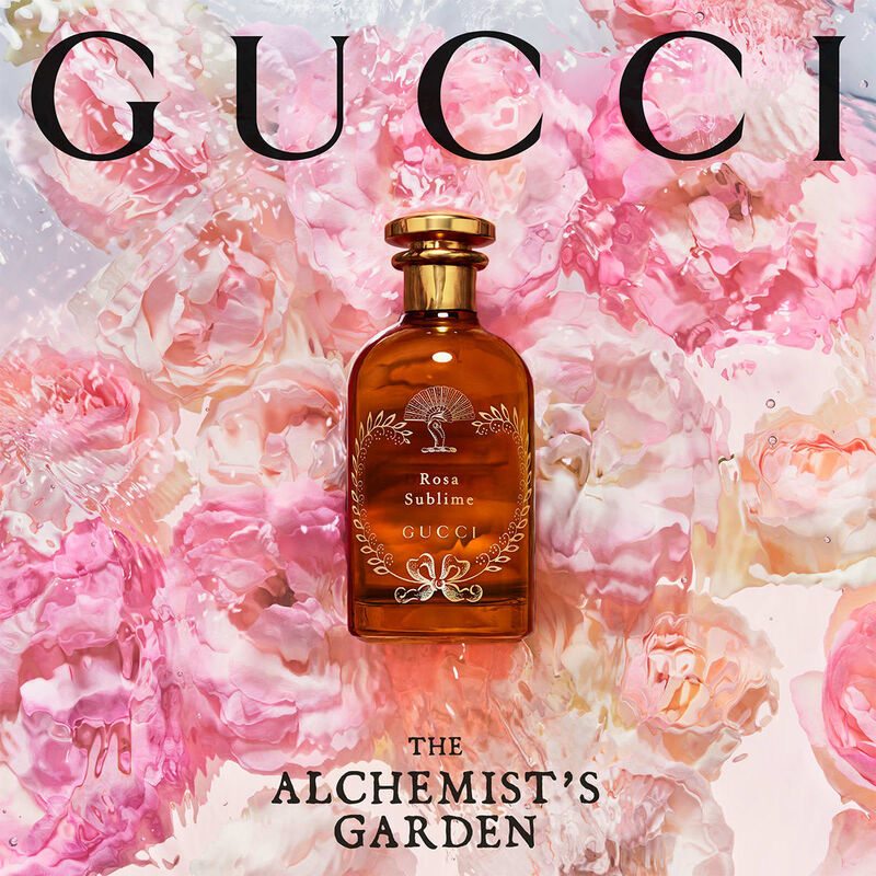 gucci the alchemist's garden rosa sublime