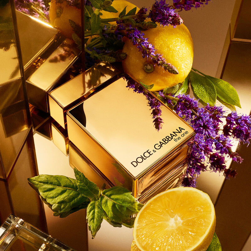 dolce & gabbana the one
