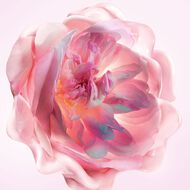 faces miss dior melt in hand cream scented hydrating