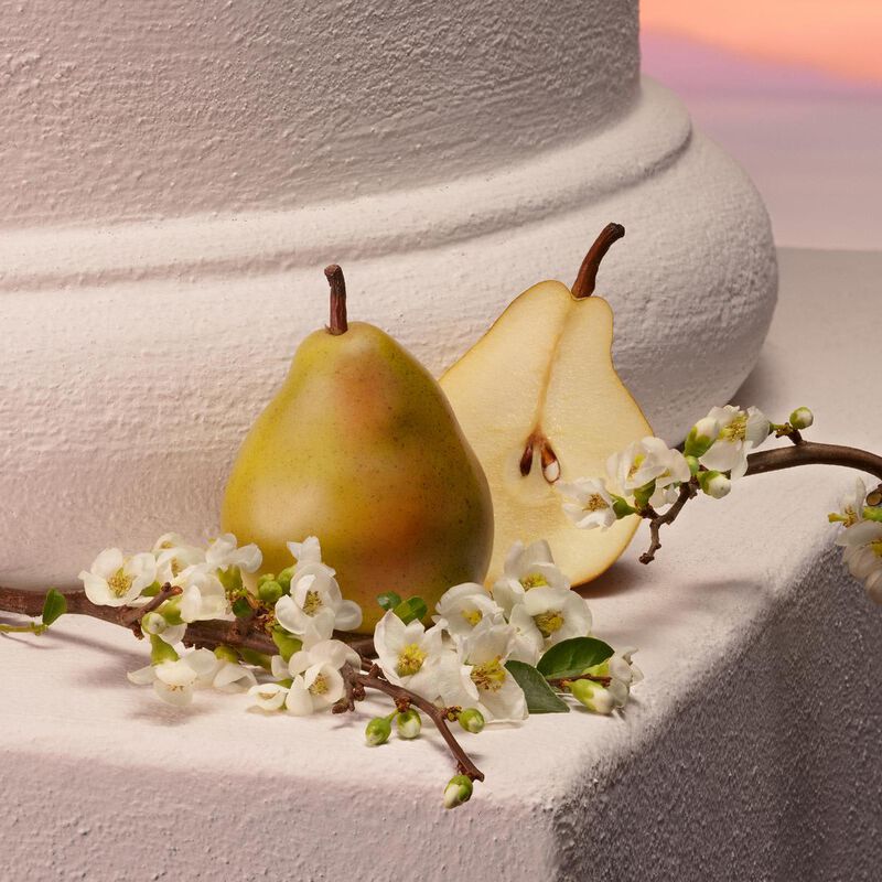 dolce & gabbana my devotion intense