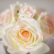 معطر جو 5 روز وردي بلش في صندوق وردي مع شارة ذهبية faces معطر جو 5 روز وردي بلش في صندوق وردي مع شارة ذهبية