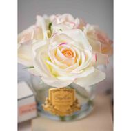 معطر جو 5 روز وردي بلش في صندوق وردي مع شارة ذهبية faces معطر جو 5 روز وردي بلش في صندوق وردي مع شارة ذهبية